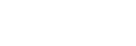 EGE ARMS